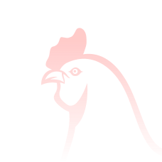 Птица